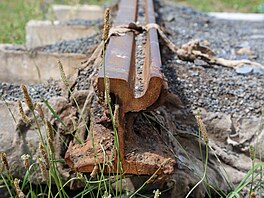 Oprava tramvajové trati Chotkovy sady - Brusnice (stav za�átek �ervence 2026)