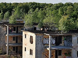 Asfalt mezitím rozpraskal a prorazily jím mladé b�ízy. I na st�echách...
