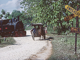 Cepu Forest Railway