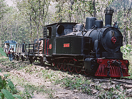 Cepu Forest Railway
