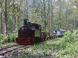 Cepu Forest Railway