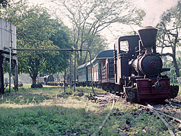 Cepu Forest Railway