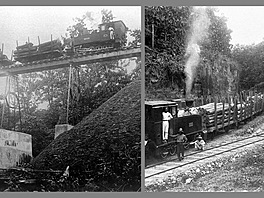 Cepu Forest Railway