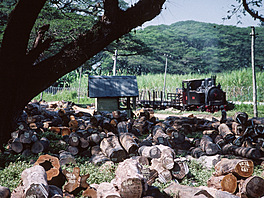 Cepu Forest Railway