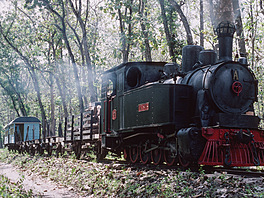 Cepu Forest Railway