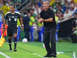 Sabri Lamouchi podporuje tuniské fotbalisty b�hem utkání se �védskem.