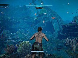 Assassin�s Creed Black Flag Resynced