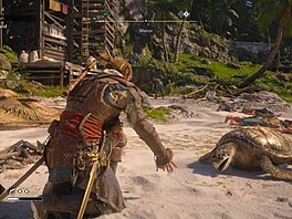 Assassin�s Creed Black Flag Resynced