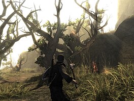 Risen