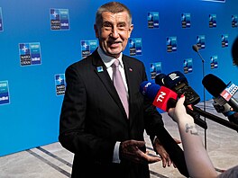 Druhý den summitu NATO v Anka�e. Premiér Andrej Babi� (ANO) na tiskové...