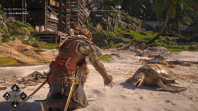 Assassin�s Creed Black Flag Resynced