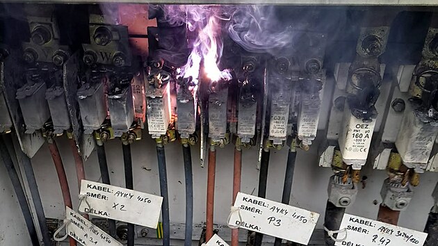 Za požár elektrického rozvaděče může hlemýžď, ulitu našli mezi fázemi