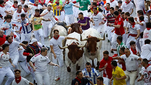 ��astn�ci festivalu b�� vedle b�k� b�hem festivalu San Ferm�n v Pamplon� ve �pan�lsku. (7. �ervence 2026)