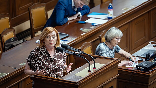 Ministryn� financ� Alena Schillerov� b�hem projedn�v�n� elektronick� evidence tr�eb. (7. �ervence 2026)