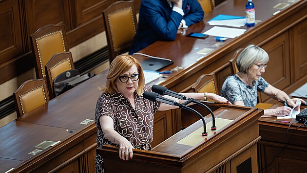 Ministryn� financ� Alena Schillerov� b�hem projedn�v�n� elektronick� evidence tr�eb. (7. �ervence 2026)