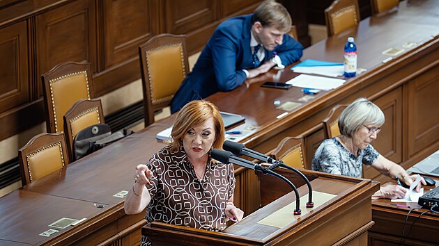 Ministryn� financ� Alena Schillerov� b�hem projedn�v�n� elektronick� evidence tr�eb. (7. �ervence 2026)