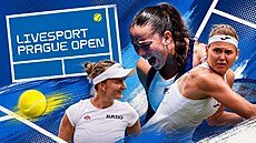 Turnaj Livesport Prague Open s �eskými tenisovými hv�zdami
