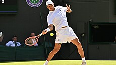 Flavio Cobolli postoupil do �tvrtfinále Wimbledonu