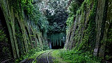 Petite Ceinture byla jednou z prvních m�stských okru�ních �eleznic v Evrop�....