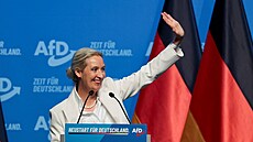 Spolup�edsedkyn� n�mecké strany AfD Alice Weidelová vystupuje na sjezdu strany...