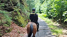 Policisté hlídkují v národním parku �eské �výcarsko.
