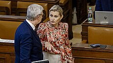 Jednání Poslanecké sn�movny. Novela zákona o pojistném na ve�ejné zdravotní...