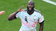 Belgický úto�ník Romelu Lukaku slaví gól proti Spojeným stát�m.