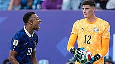 Paraguayský branká� Orlando Gill po záv�re�ném hvizdu osmifinále MS proti...