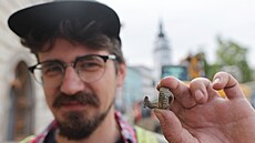 Archeologové nyní podrobn� zkoumají v rámci velkého investi�ního projektu ve...