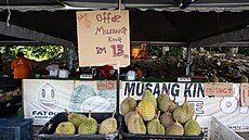 Stánek s duriany v Karaku ve stát� Pahang v Malajsii (24. �ervna 2026)