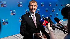 Druhý den summitu NATO v Anka�e. Premiér Andrej Babi� (ANO) na tiskové...