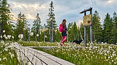 �erná hora a kabinková lanovka �ernohorský Express z Janských Lázní. ©SkiResort �ERNÁ HORA - PEC.