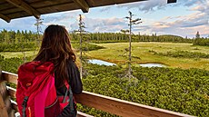 Kabinkou �ernohorský Express vyje�te z Janských Lázní na �ernou horu. ©SkiResort.jpg