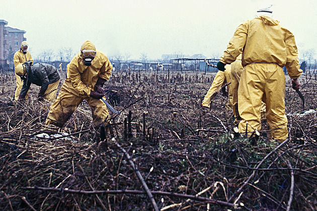 Italian Chernobyl: Corporation Hid Dioxin Leak, Disfiguring Children