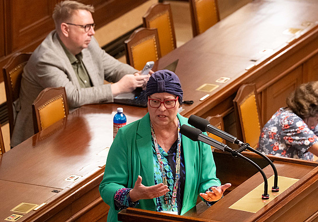 Denní dálniční známka má nově platit 24 hodin od zakoupení, ne od půlnoci