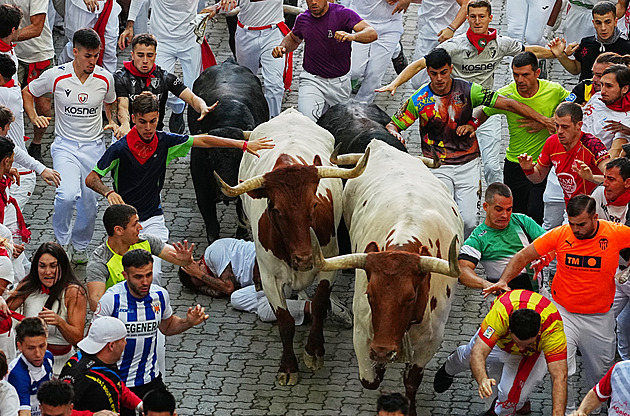 Gored in Chest and Thigh: Festival Bulls Charge Through Pamplona