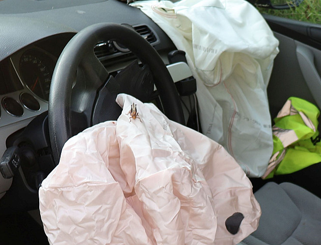 Driver startled by grasshoppers, crashes; drunken passenger released insects from a bag