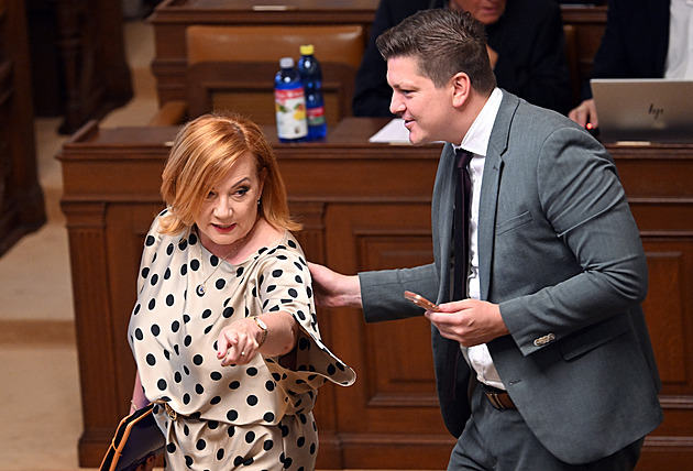 Czech Parliament Debates Reinstatement of Electronic Sales Registration