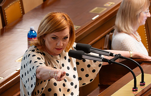 Chceme stejná pravidla pro všechny, říká Schillerová. Poslanci rozhodují o EET