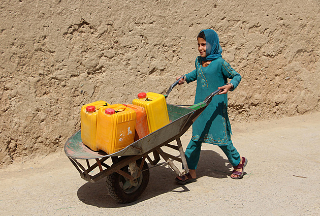 Afghan Girls Married Off as Infants Amid Rising Child Marriage Crisis