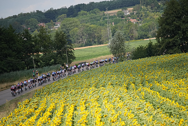 Tour de France 2026 Stage 15: Route, profile, odds, and results