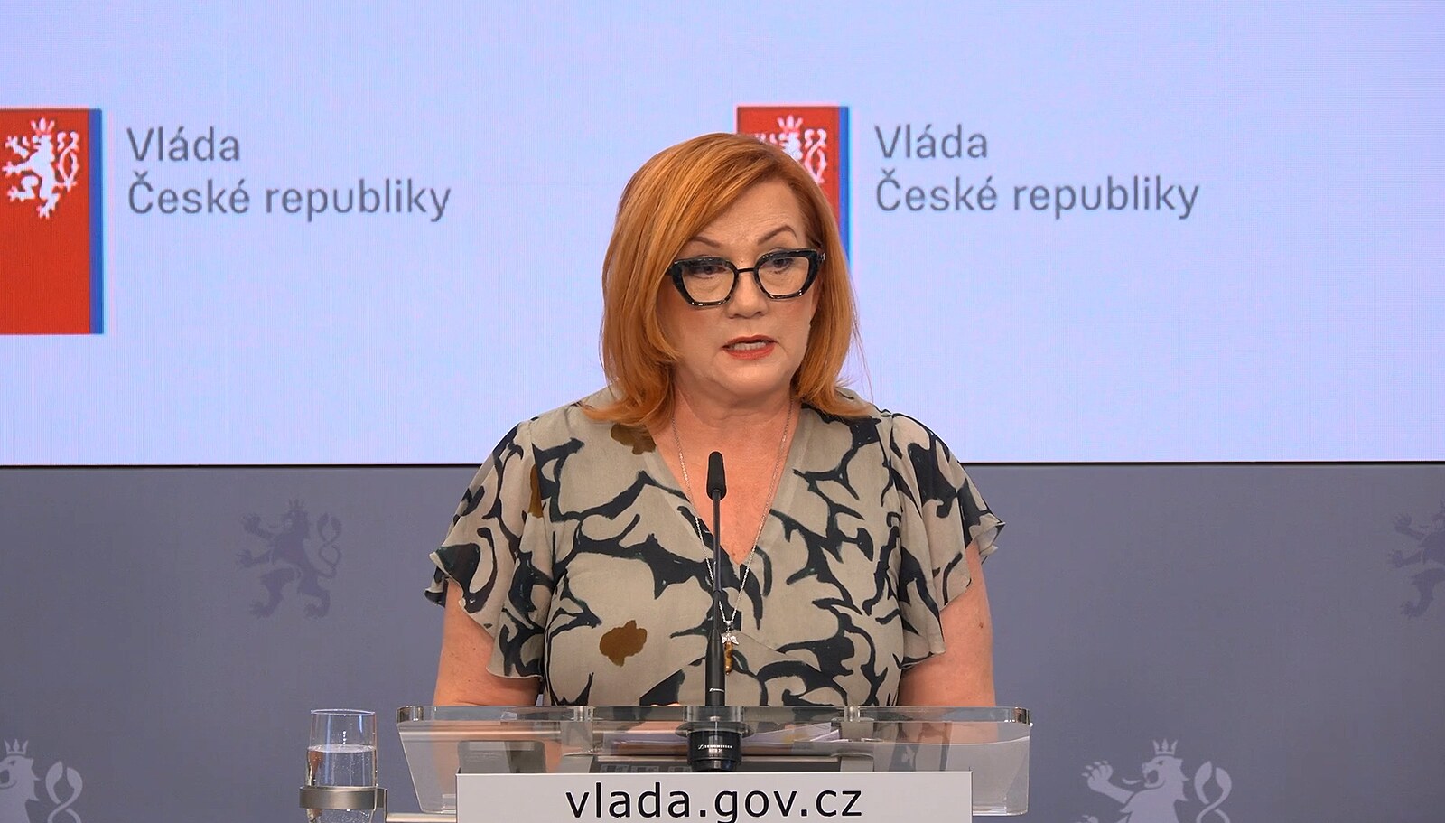 Regulace cen pohonných hmot 19. července končí, oznámila ministryně Schillerová a varovala prodejce