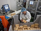 Pracovník kontroluje zabalené porce sýra Parmigiano Reggiano na konci...