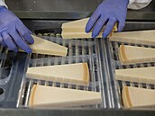 Pracovník ukládá typické trojúhelní�ky sýra Parmigiano Reggiano do plastových...