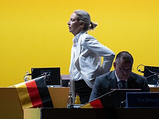 Spolup�edsedové n�mecké Alternativy pro N�mecko (AfD) Alice Weidelová a Tino...