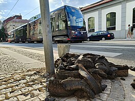 Vysoké teploty po�kodily �ást tramvajové trat� v Praze. (13. �ervence 2026)