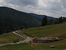 Peloton v poho�í Jura b�hem 15. etapy cyklistické Tour de France