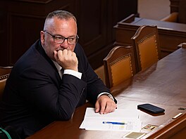 Jednání Poslanecké sn�movny. Na snímku Ivan Bednárik (SPD). (14. �ervence 2026)