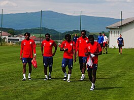 Fotbalisté Slavie se v rakouském Kollerschlagu, kousek od �eských hranic,...