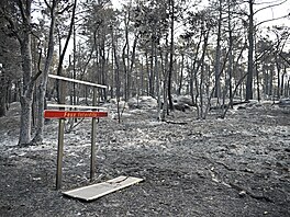 Spáleni�t� na jihu Pa�í�e v metropolitní oblasti Fontainebleau. (14. �ervence...